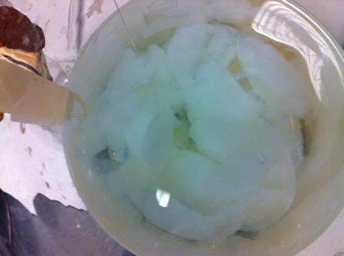 Extracted cellulose from bacteria