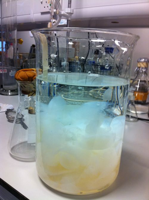 Extracted cellulose from bacteria
