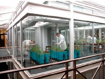 Growthroom and greenhouse facility at the IWBT (Stellenbosch University) Growthroom and greenhouse facility at the IWBT (Stellenbosch University)