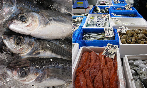 Fish at the Tsukiji fish market © c-lab 2007
