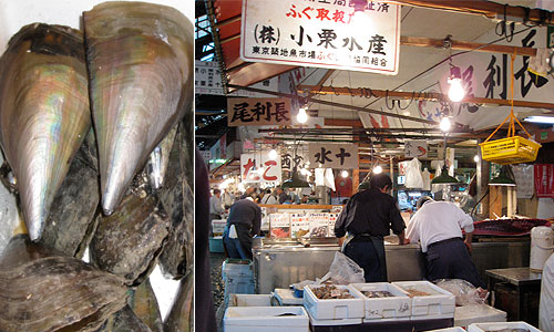 Some shark fins ©c-lab 2007