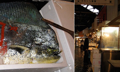 A fish in a fish in a fish © c-lab 2007
