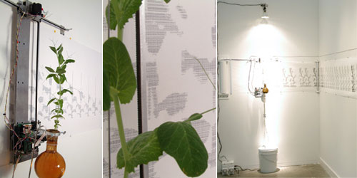 Growth Rendering Device © David Bowen