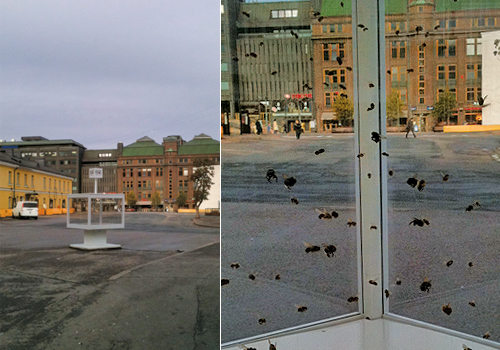 Anne Brodie, 'Bee Box', 2011 (Helsinki)