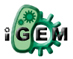 iGEM