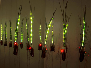 Ryan Wolfe, Study for lit within, 2008 