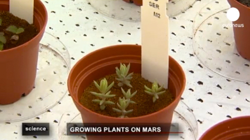 Plant Life on Mars