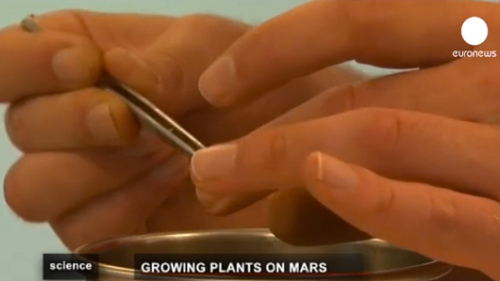 Plant Life on Mars, Euronews 2013