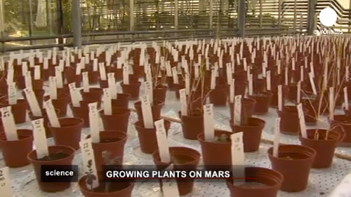 Plant Life on Mars, Euronews 2013