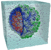Supercomputer builds a virus