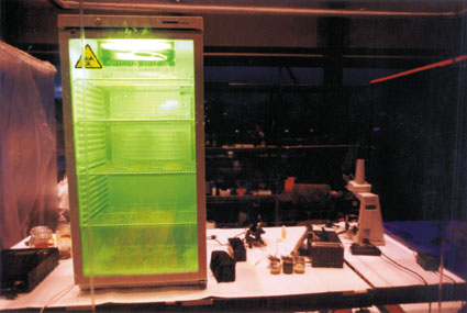Audio Microscope, Joe Davis & Katie Egan, Ars Electronica, 2000