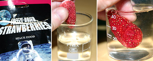 Immersing freeze dried strawberry into water © c-lab 2007