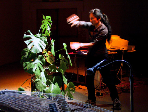 pieces for plants pieces for plants