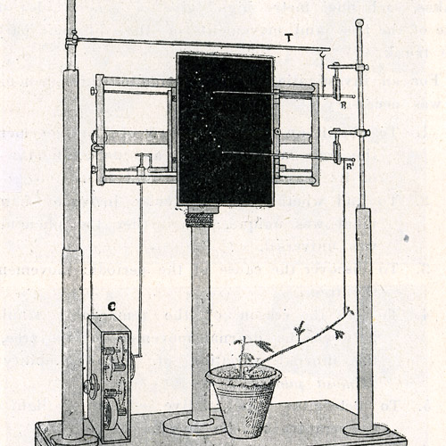 Apparatus for automatic record of movement of trees and plants
