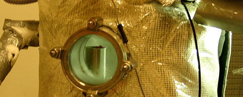 terrestrial rose in biochamber © c-lab 2007