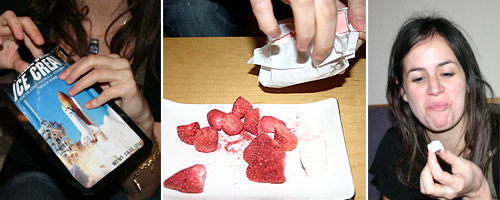 freeze dried ice-cream © c-lab 2007