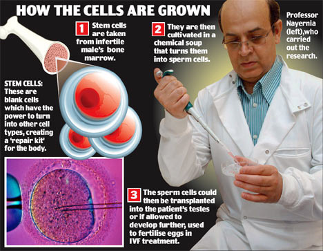 how stem cells are grown, image source: daily mail