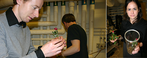 with the exposed martian rose © c-lab 2007