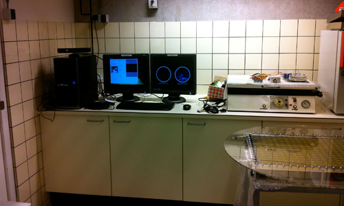 Laboratory Preparation of LIVING MIRROR for Age of Wonder