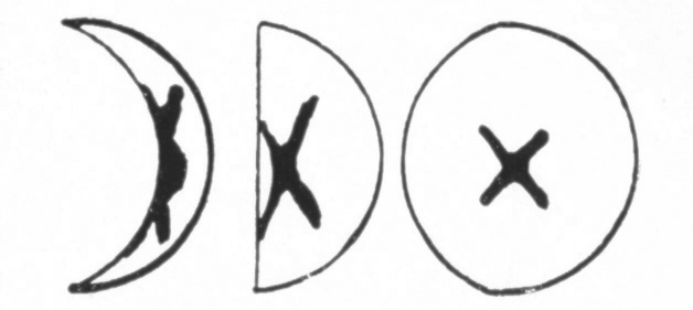 W. W. Spangenberg attributed the cruciform features recorded by many of the subjects of “artificial planet” experiments on smooth, featureless balls to unspecifi ed “psycho-physical effects”. From Joseph Meurers, Astronomische Experimente (Berlin, 1956). W. W. Spangenberg attributed the cruciform features recorded by many of the subjects of “artificial planet” experiments on smooth, featureless balls to unspecifi ed “psycho-physical effects”. From Joseph Meurers, Astronomische Experimente (Berlin, 1956).