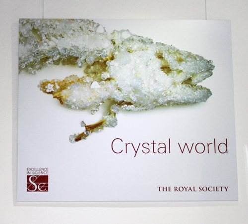Ackroyd & Harvey 'Shoal' launch at Royal Society