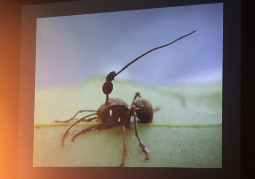 Subtle Technologies: Consciousness | Symbiosis State Project