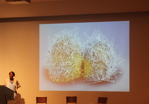 Subtle Technologies: Henrietta Lacks in Text and Context
