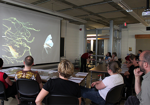 Subtle Technologies: Workshop - The Physarum Experiments