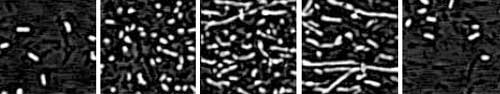 Oscillating into steady-state Oscillating into steady-state