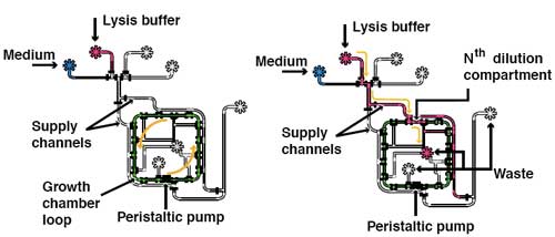Flow diagram