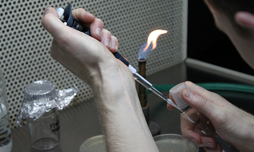 Inoculations, IIT Bombay, January 2012