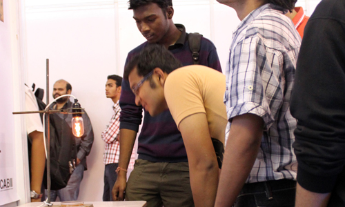 Looking at the Nanomagnetic Plants experiment, Techfest 2012, IIT Bombay, January 2012