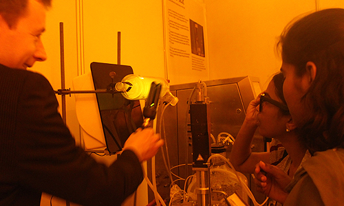 Fluorescing bacteria, Stress-o-Stat (2011), Techfest 2012, IIT Bombay, January 2012