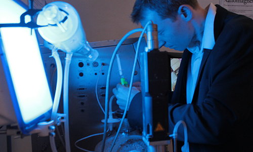 Fluorescing bacteria, Stress-o-Stat (2011), Techfest 2012, IIT Bombay, January 2012