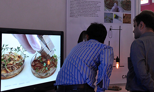 Fluorescing bacteria, Stress-o-Stat (2011), Techfest 2012, IIT Bombay, January 2012