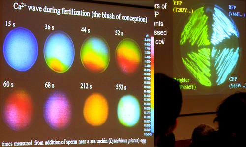 Professor Roger Y Tsien Lecture (Photo: c-lab 2011)