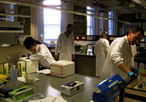 London Hackspace at UCL Cruciform Lab
