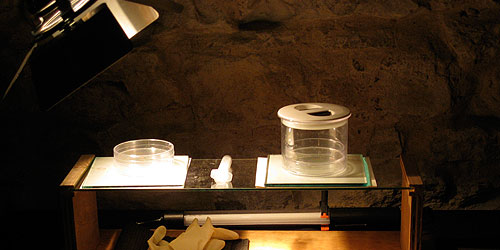 Antony Hall, Recreation of b2 reaction © c-lab 2007