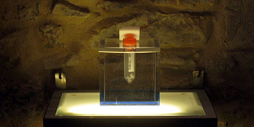 Bioteknica, teratologies © c-lab 2007