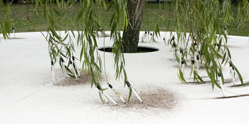 Weeping Willow on circular panel [100 pen], Tim Knowles