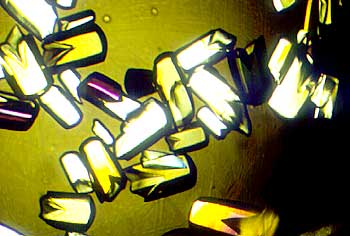 Protein crystal