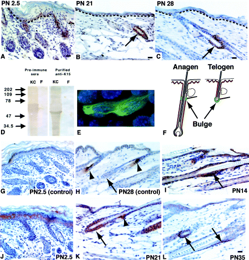 Unfortunately we are unable to provide accessible alternative text for this. If you require assistance to access this image, please contact help@nature.com or the author