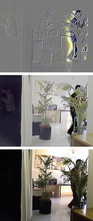 Spying With a Fly's Eyes