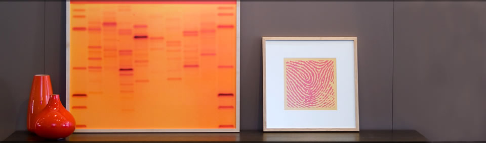 DNA11 - From Life comes Art