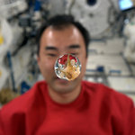 Ohanami - cherry blossom festival in Space Station :-) on Twitpic