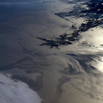 Oil spill of Gulf of Mexico, USA. on Twitpic
