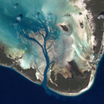Seychelles, closeup. on Twitpic