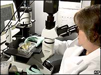 EU to fund embryo cell research 