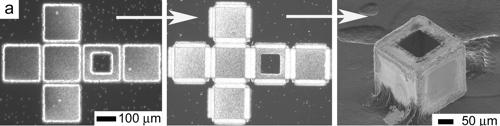 Self-assembling nano-boxes show chemical control