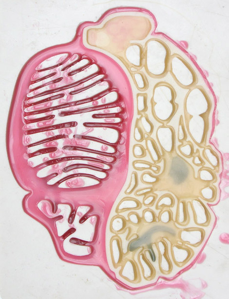 The MRI steak – an anatomically complicated piece of meat. 
